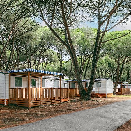 Albatross Mobile Homes On Camping Bi Village Fažana Buitenkant foto